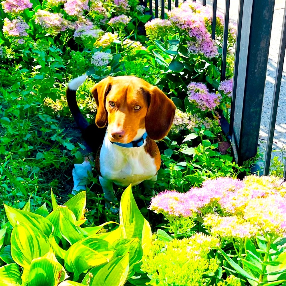 Meet your Posher, Luyona